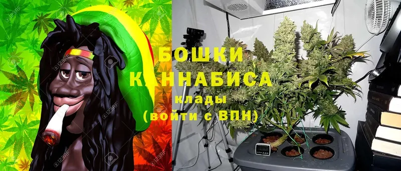 OMG зеркало  Железногорск  Бошки Шишки SATIVA & INDICA 